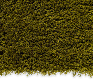 Brink and Campman Shade High Olive/Deep Forest Area Rug Angle Image