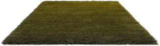 Brink and Campman Shade High Olive/Deep Forest Area Rug Angle Image