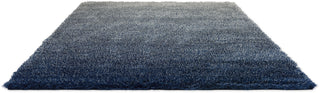 Brink and Campman Shade High Silver/Polar Night Area Rug Angle Image