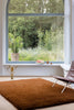 Brink and Campman Shade High Umber/Tobacco Area Rug Room Image Feature