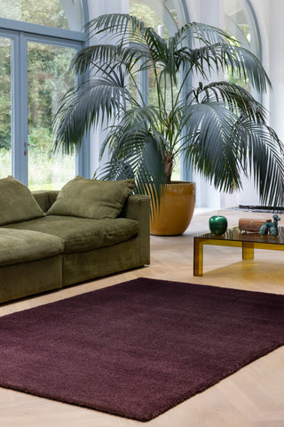 Brink and Campman Shade Low Plum/Fig Area Rug Room Image Feature