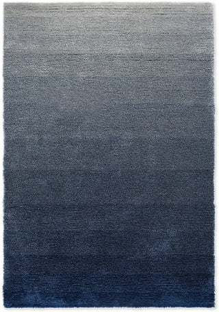 Brink and Campman Shade Low Silver/Polar Night Area Rug main image