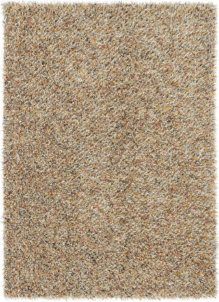 Brink and Campman Spring Calendula Area Rug main image