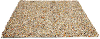 Brink and Campman Spring Calendula Area Rug Angle Image