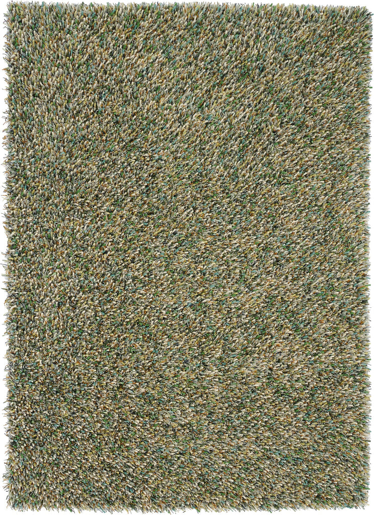 Brink and Campman Spring Evergreen Area Rug main image
