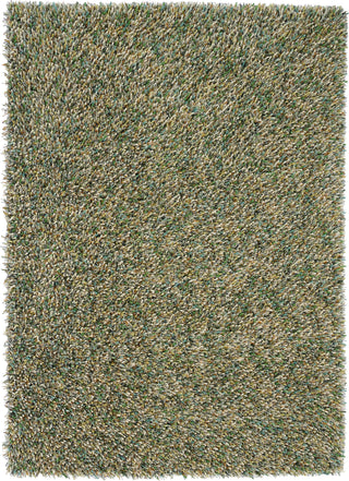 Brink and Campman Spring Evergreen Area Rug main image