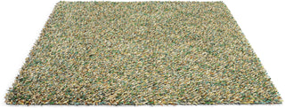 Brink and Campman Spring Evergreen Area Rug Angle Image