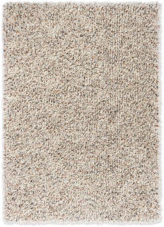 Brink and Campman Spring Natural Area Rug main image