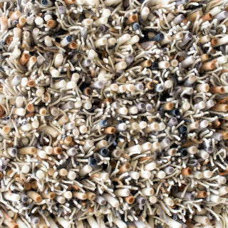 Brink and Campman Spring Natural Area Rug Closeup Image