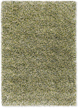 Brink and Campman Spring Evergreen Area Rug Main Image