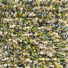 Brink and Campman Spring Evergreen Area Rug Closeup Image