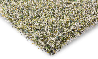 Brink and Campman Spring Evergreen Area Rug Corner Image