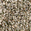Brink and Campman Spring Moss Area Rug Closeup Image
