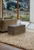 Brink and Campman Spring Moss Area Rug Room Image Feature