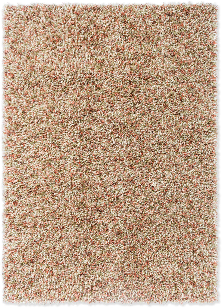 Brink and Campman Spring Pumpkin Area Rug main image