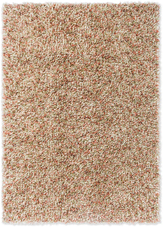 Brink and Campman Spring Pumpkin Area Rug main image