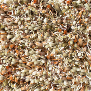 Brink and Campman Spring Pumpkin Area Rug Closeup Image