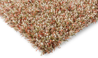Brink and Campman Spring Pumpkin Area Rug Corner Image