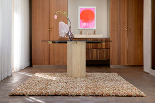 Brink and Campman Spring Pumpkin Area Rug Room Image Feature