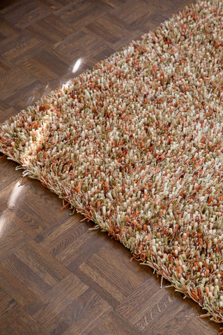 Brink and Campman Spring Pumpkin Area Rug Room Image Feature