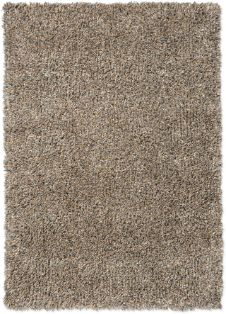 Brink and Campman Spring Storm Area Rug main image