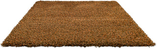 Brink and Campman Sprout Burnt Tangerine Area Rug Angle Image