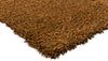 Brink and Campman Sprout Burnt Tangerine Area Rug Corner Image