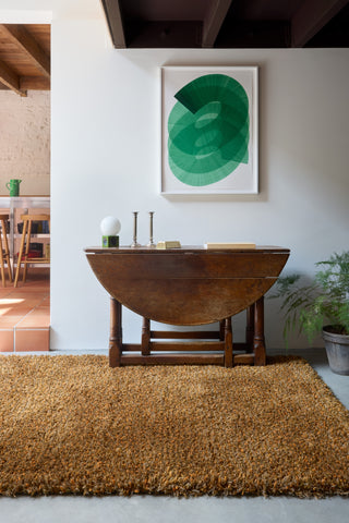 Brink and Campman Sprout Burnt Tangerine Area Rug Room Image Feature