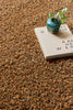 Brink and Campman Sprout Burnt Tangerine Area Rug Room Image Feature