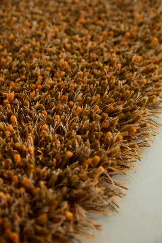 Brink and Campman Sprout Burnt Tangerine Area Rug Room Image Feature