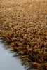 Brink and Campman Sprout Burnt Tangerine Area Rug Room Image Feature