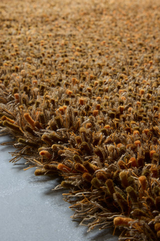 Brink and Campman Sprout Burnt Tangerine Area Rug Room Image Feature