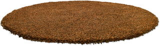 Brink and Campman Sprout Burnt Tangerine Area Rug Round Angle Image