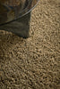 Brink and Campman Sprout Dusty Ground Area Rug Room Image Feature
