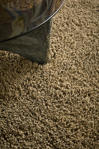 Brink and Campman Sprout Dusty Ground Area Rug Room Image Feature