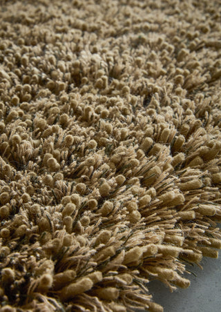 Brink and Campman Sprout Dusty Ground Area Rug Room Image Feature