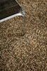 Brink and Campman Sprout Feather Coat Area Rug Room Image Feature