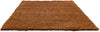 Brink and Campman Sprout Terracotta Area Rug Angle Image