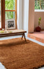 Brink and Campman Sprout Terracotta Area Rug Room Image Feature