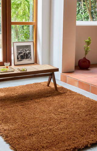 Brink and Campman Sprout Terracotta Area Rug Room Image Feature