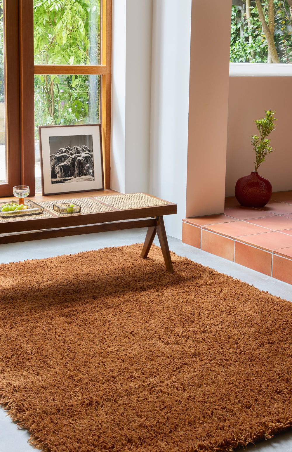 Brink and Campman Sprout Terracotta Area Rug Room Image Feature