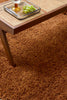 Brink and Campman Sprout Terracotta Area Rug Room Image Feature