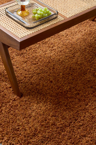 Brink and Campman Sprout Terracotta Area Rug Room Image Feature