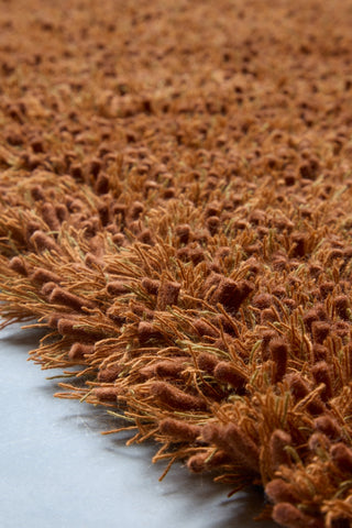 Brink and Campman Sprout Terracotta Area Rug Room Image Feature