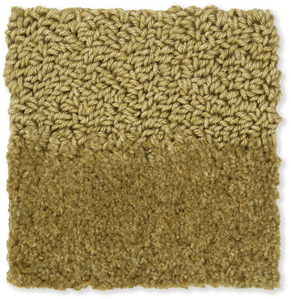 Brink and Campman Twinset Shore Antique Area Rug Closeup Image
