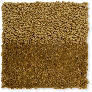 Brink and Campman Twinset Shore Golden Area Rug Main Image