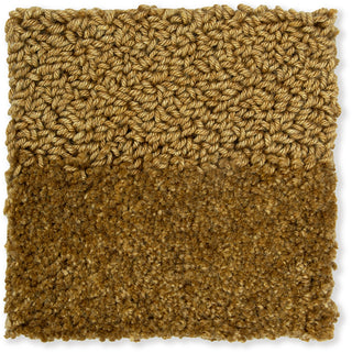 Brink and Campman Twinset Shore Golden Area Rug Closeup Image