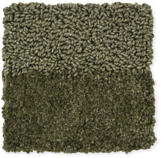 Brink and Campman Twinset Shore Olive Area Rug Sample Image