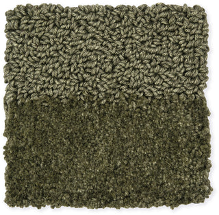 Brink and Campman Twinset Shore Olive Area Rug Closeup Image