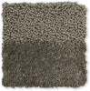 Brink and Campman Twinset Shore Shiitake Area Rug Closeup Image